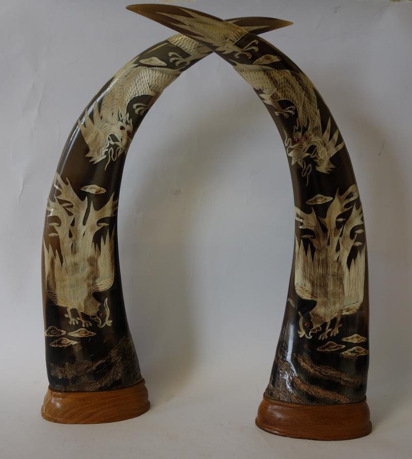 Chinese Carved Water Buffalo Horns: A pair of Chinese water buffalo horns. Well carved with depictions of dragons and phoenix. Measures 18.5" high and 5.5" x 3.5" at the base.