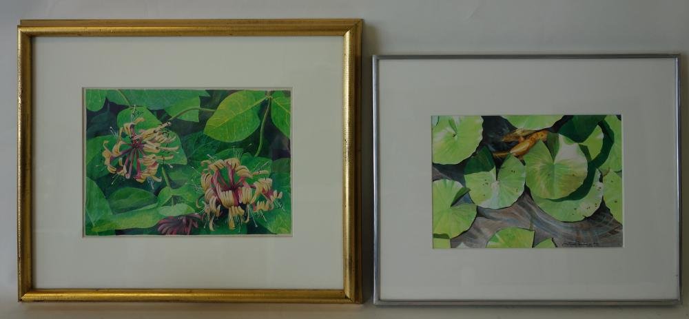Gertrude Pacific (1942- ) 2 Watercolors: Two framed watercolors by listed Washington artist Gertrude Pacific. The first watercolor, titled "Honeysuckle" measures 7.75" x 11". Framed, 15" x 18.25". The second watercolor depicts koi fish in a 