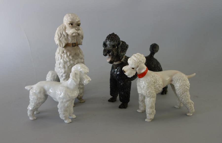 4 Porcelain Poodles, Meissen, Rosenthal +: A group of four porcelain models of poodles. Comprised of a white poodle dog by Meissen, 5.25" high. Together with a dark gray poodle by Rosenthal, Germany, sculpted by Professor Theodor Karner, 7.25"