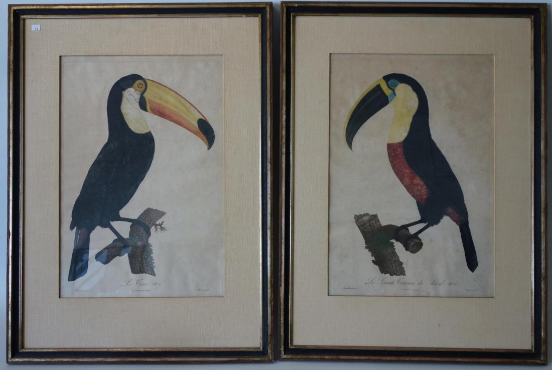 Jacques Barraband Toucan Engravings No.6 & 7 (1 of 5)