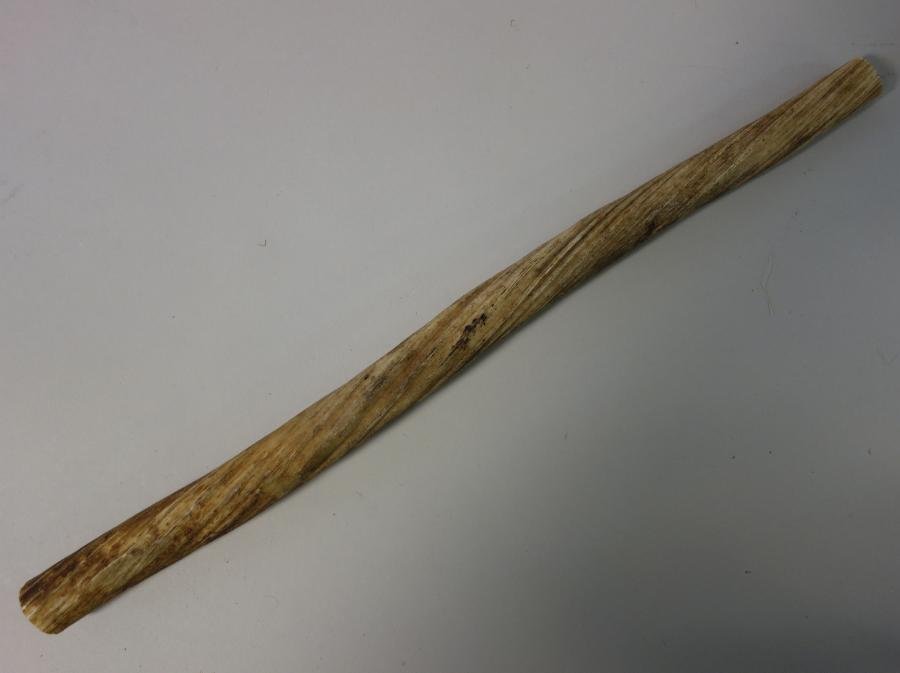 19thc Narwhal Tusk Section: An antique Inuit Arctic Narwhal tusk section (or narwhale Monodon monoceros) 19th century. The section measures 17.5" long, 1" diameter.