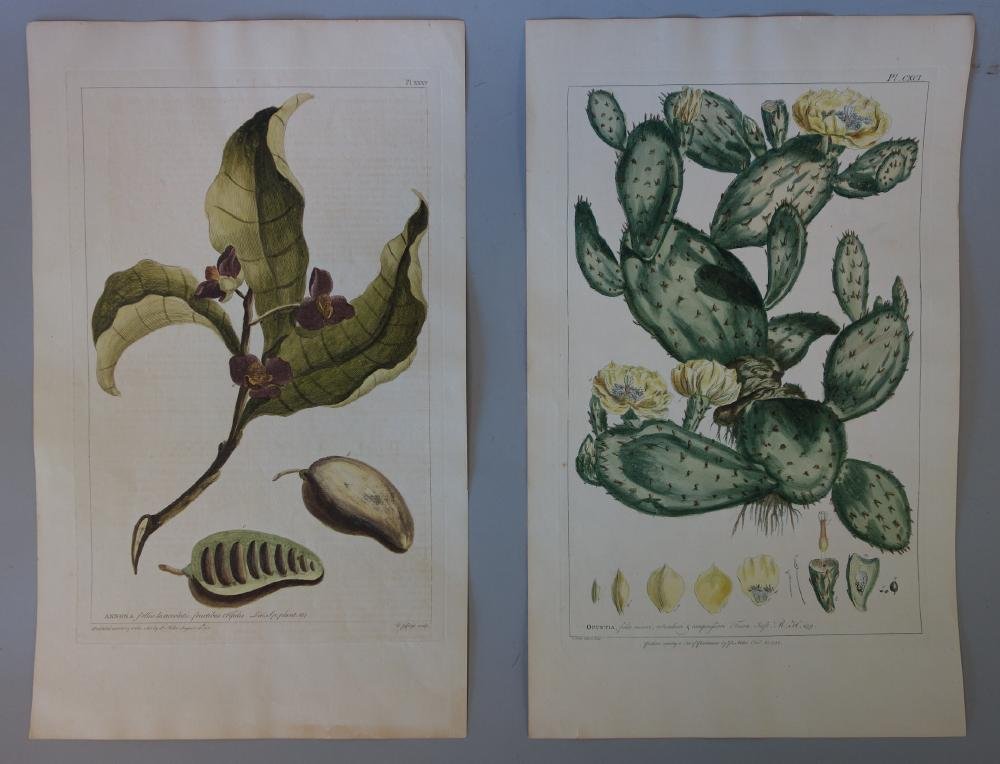 2 Antique Botanical Engravings, Cactus & Annona (1 of 3)