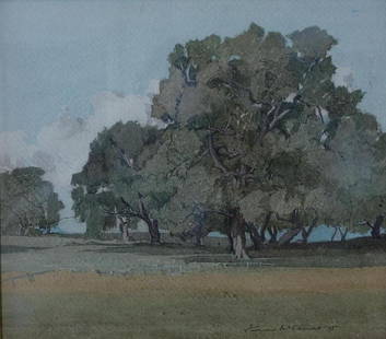 Francis J. McComas (1875-1938) Pacific Grove: Framed watercolor on paper by Francis John McComas (California, 1875-1938). The Monterey landscape painting depicts a grove of trees. Signed lower right and dated 05 (1905). Sight measurement 9.5" x 1