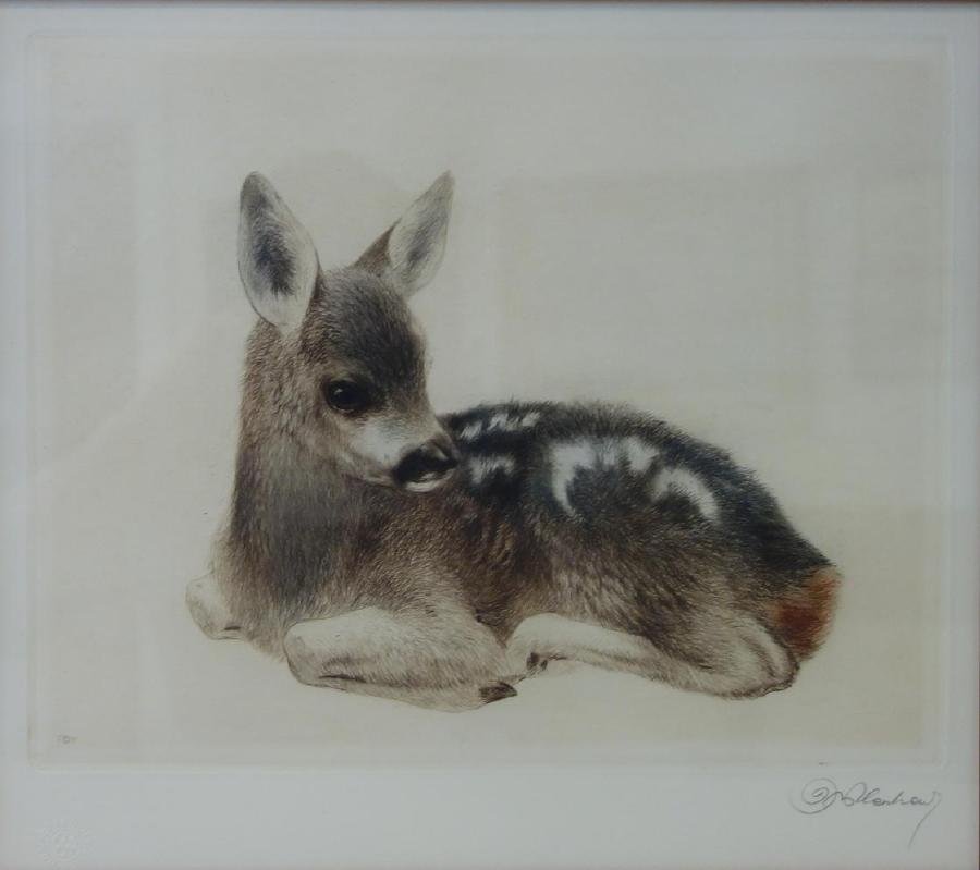 Kurt Meyer-Eberhardt (1895-1977) Roe Deer (1 of 6)