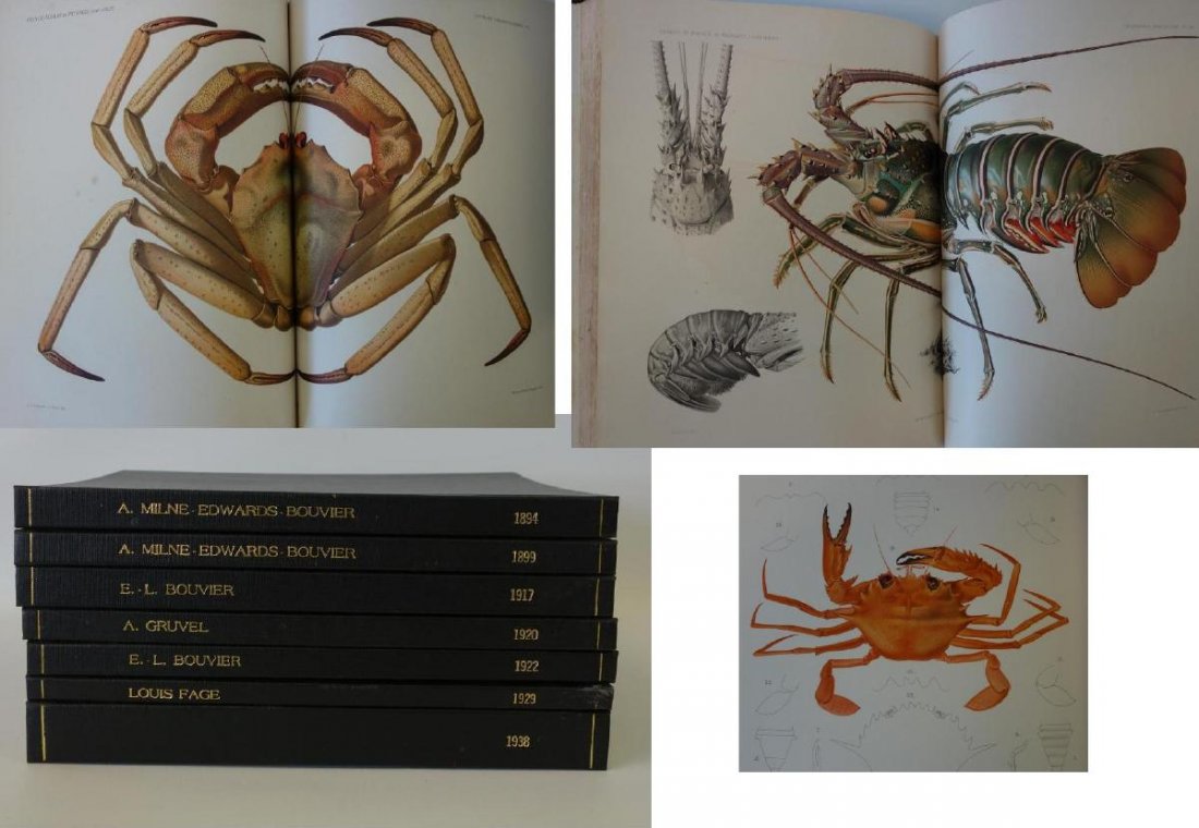 Resultats des Campagnes Scientifiques, 7 Volumes (1 of 10)