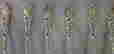 item-48515806=2