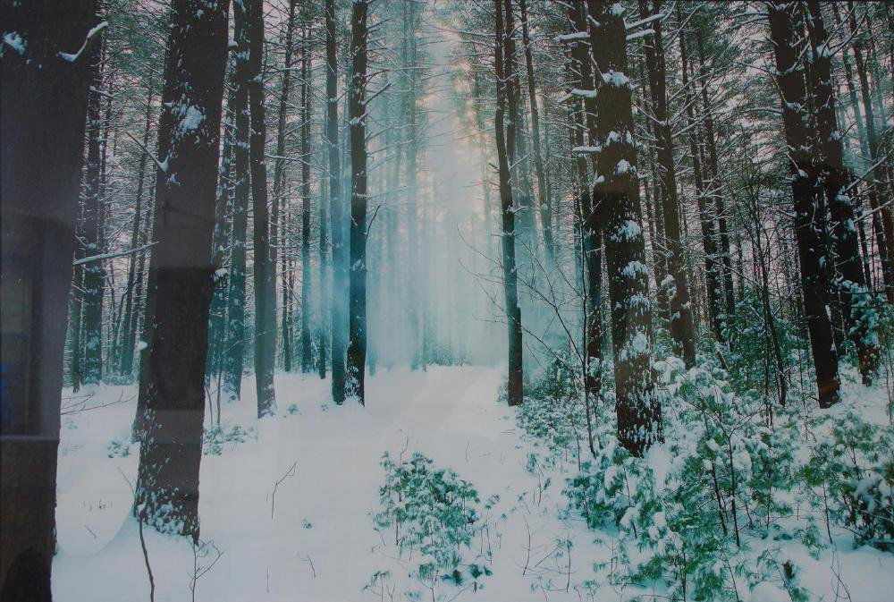 Michael Tischler, Winter Landscape Photograph (1 of 2)