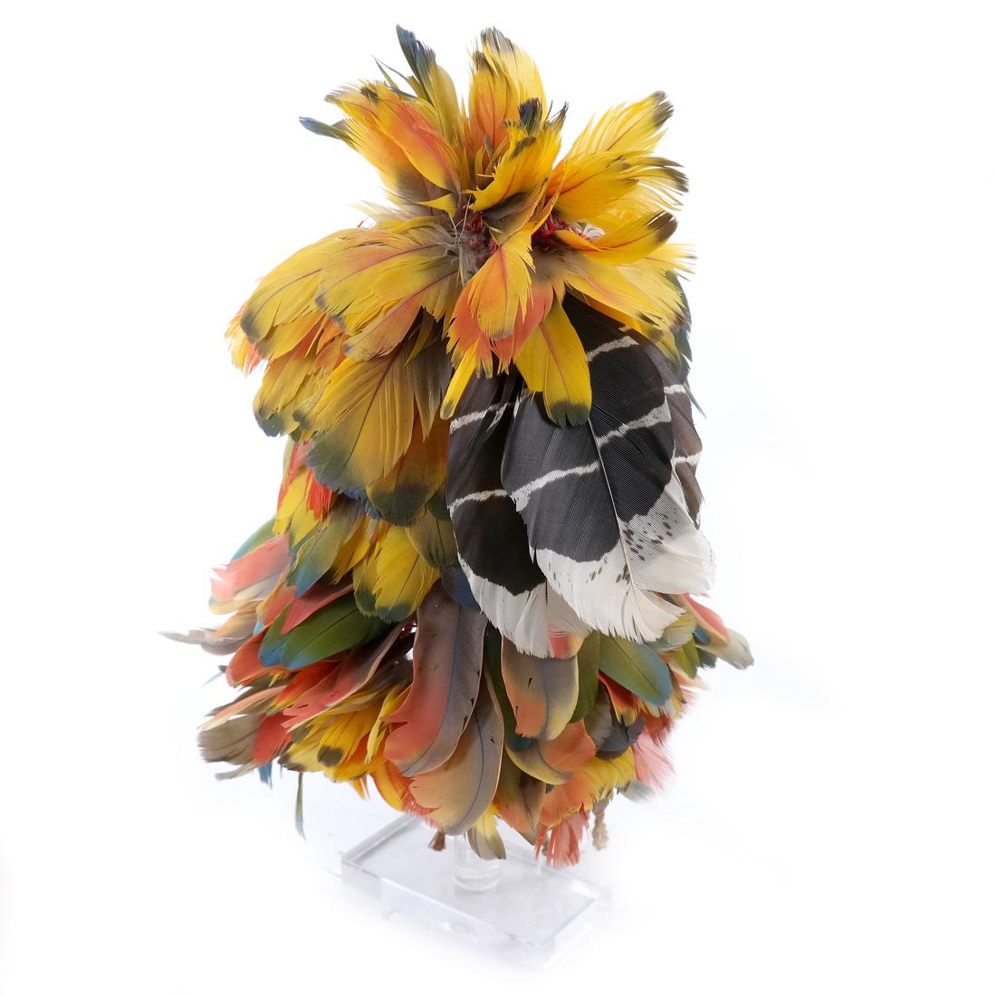 South American Headdress (1 of 5)