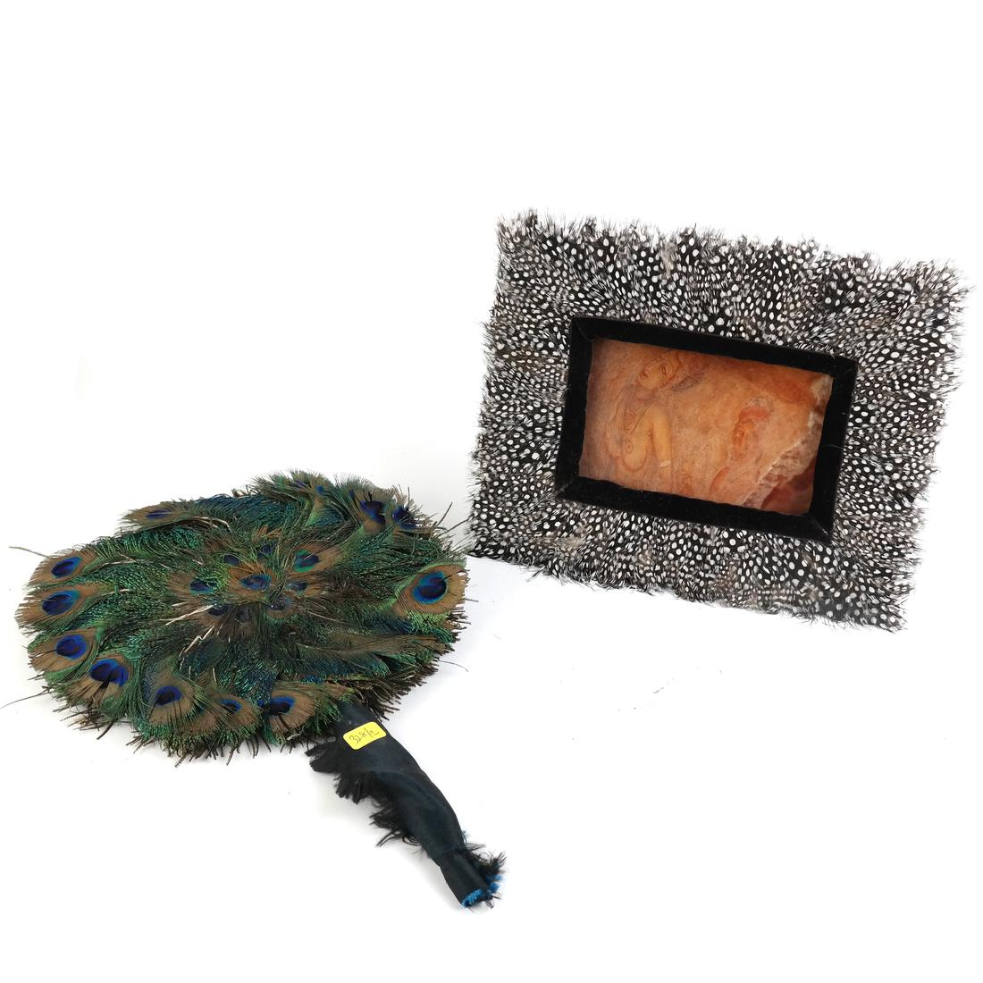 Two Feathered Objects (1 of 10)