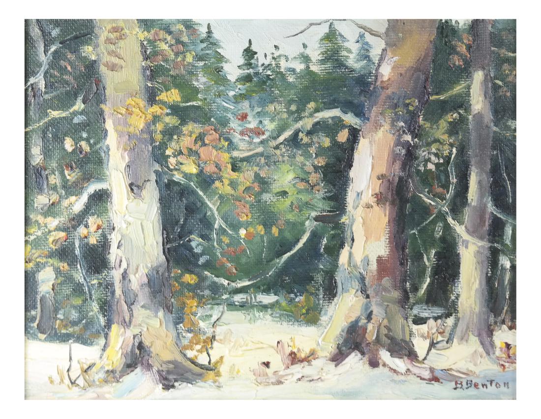 B. Benton, White Birch, Oil on Board: Oil on board depicting sunlight in a forest with green and white birches.