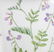 Royal Copenhagen Flora Danica Dish - 4