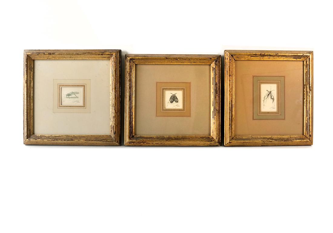 Sheldon Fink - Three Etchings of Insects (1 of 9)
