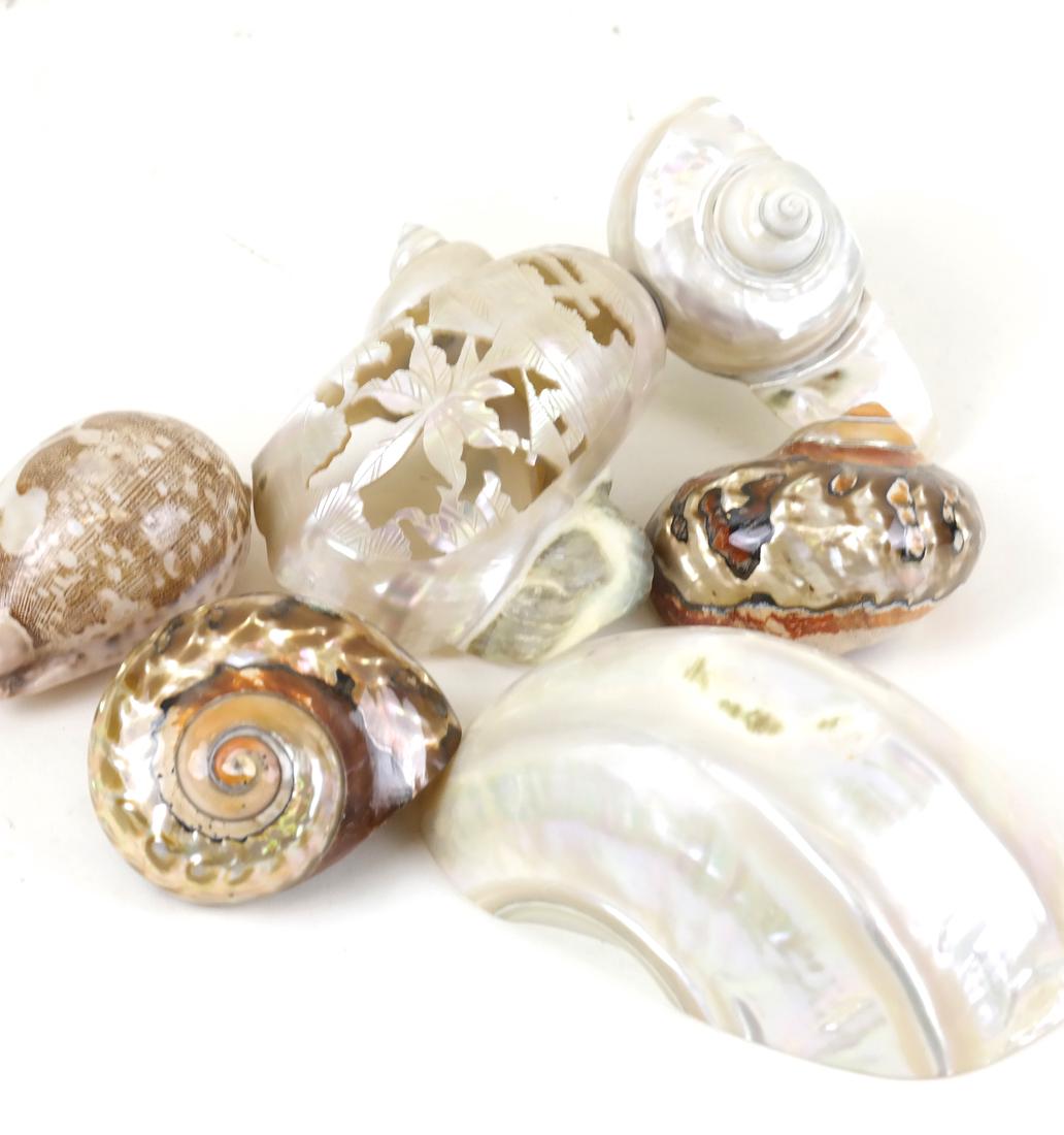 Four Decorative Shells and Other (1 of 6)