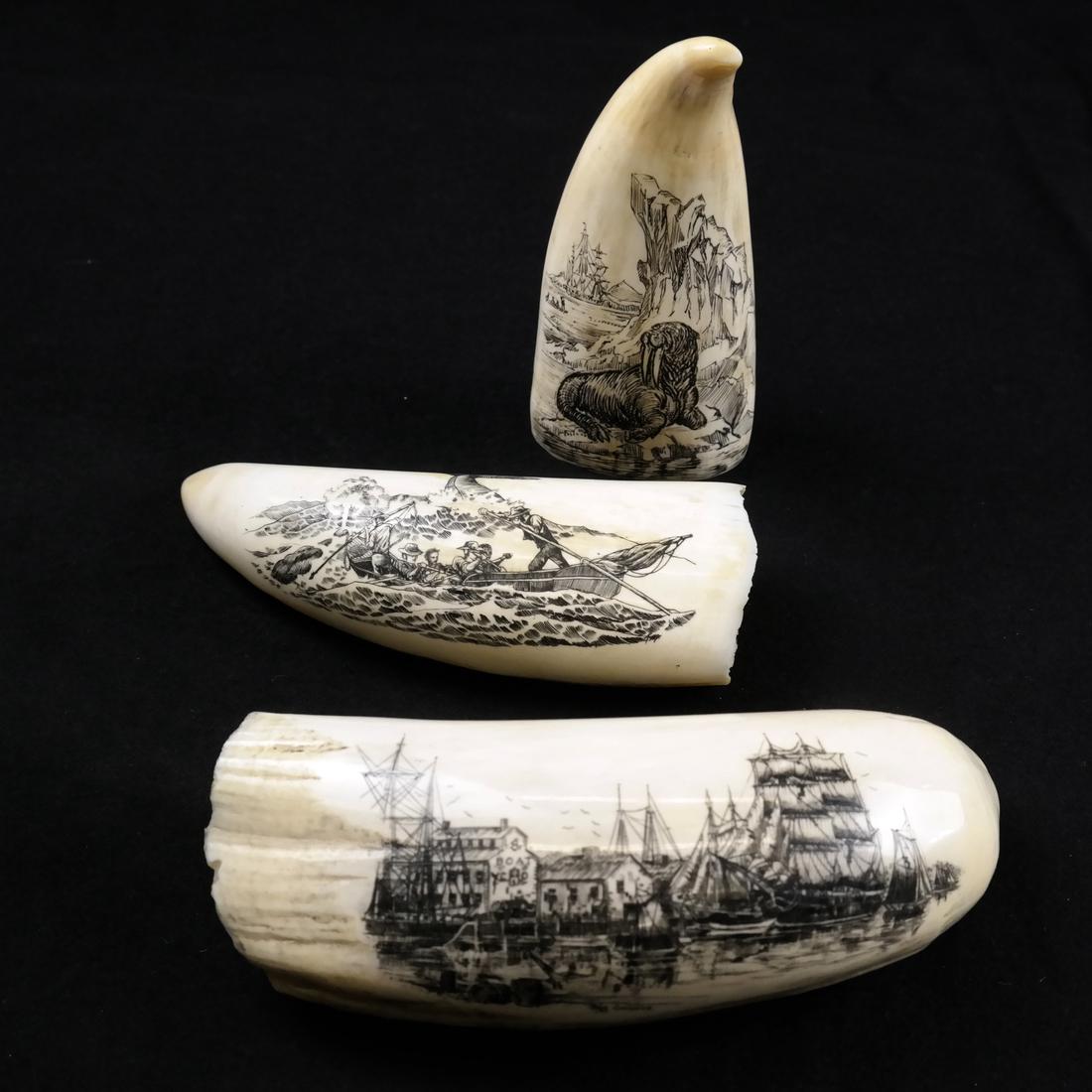 Three Scrimshaw Carvings: 20th Century various scenes engraved on Whale tooth ports, Moby Dick. Dimensions: Largest - 5.75" L ; Smallest - 4.5" L ; 