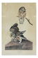 After John J. Audubon, "Little Owl" - Engraving