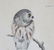 After John J. Audubon, "Little Owl" - Engraving - 3