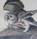After John J. Audubon, "Little Owl" - Engraving - 4