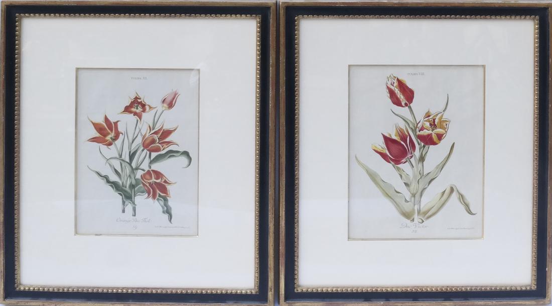 Pair of Horticultural Color Prints (1 of 6)