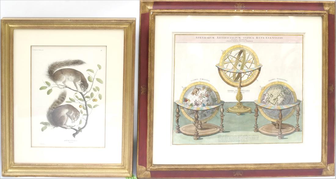Globe Print and a Squirrel Print (1 of 7)