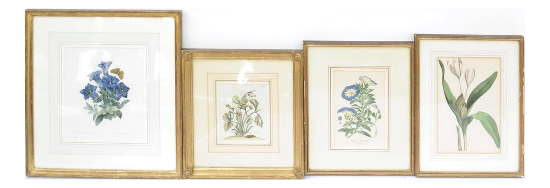 Four Horticultural Framed Prints (1 of 6)
