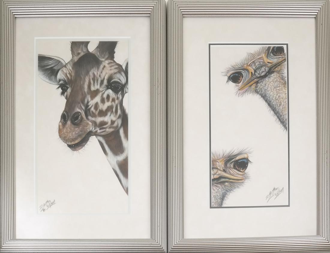 D. Arthur Wilson, Pair of Prints, Ostrich and Giraffe (1 of 9)