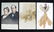 WILLIAM J. BRYAN 20 + CAMPAIGN & BIOGRAPHICAL POSTCARDS - 7