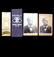 WINFIELD S. HANCOCK 1880 CAMPAIGN RIBBONS AND CAB. CARD - 5