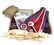 BRITISH 19TH AND 20TH CENTURY TEMPERANCE REGALIA
