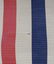 ELSENHOWER CAMPAIGN BANNER 1956 - 4
