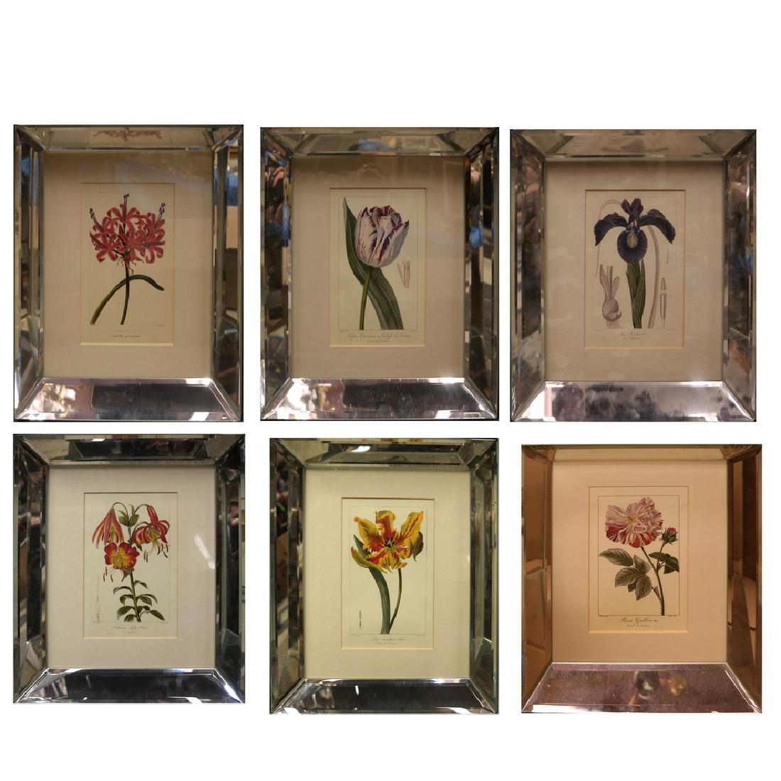 Set of 6 Mirror Framed Floral Prints (1 of 7)
