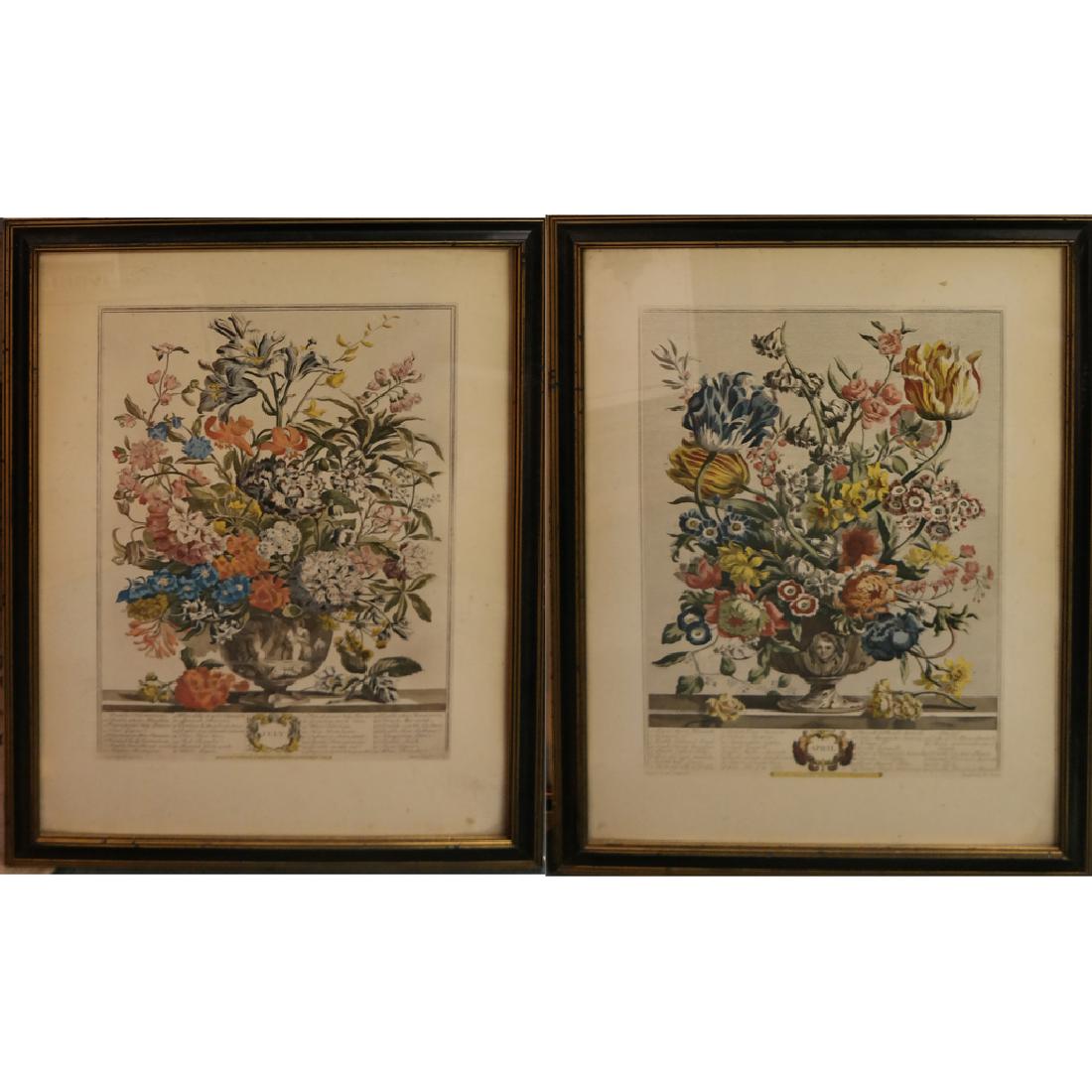 Two Hand Colored Floral Prints (1 of 5)