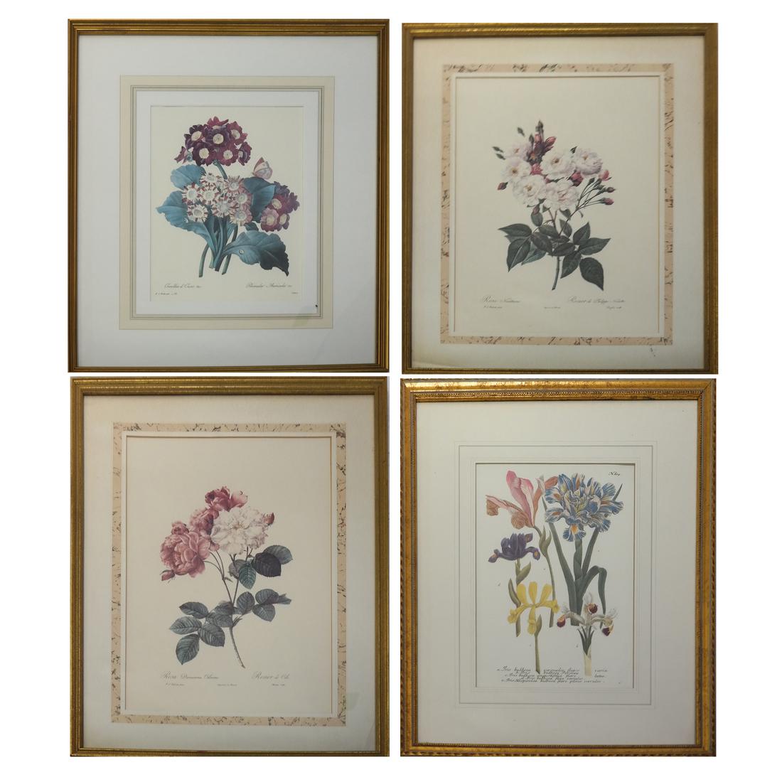 Pierre Joseph Redoute, Engravings (1 of 10)