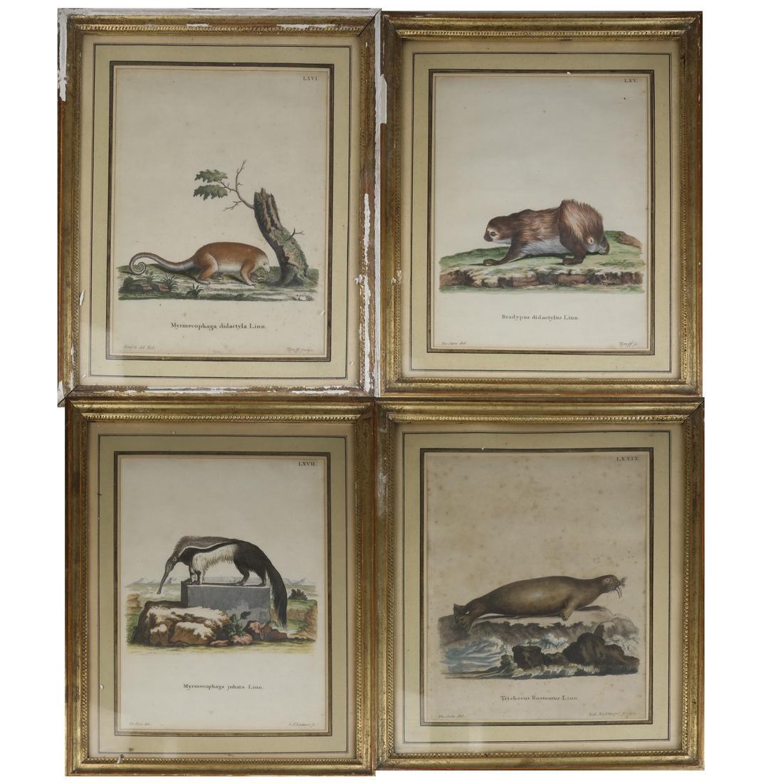 Four Vintage Animal Prints (1 of 6)