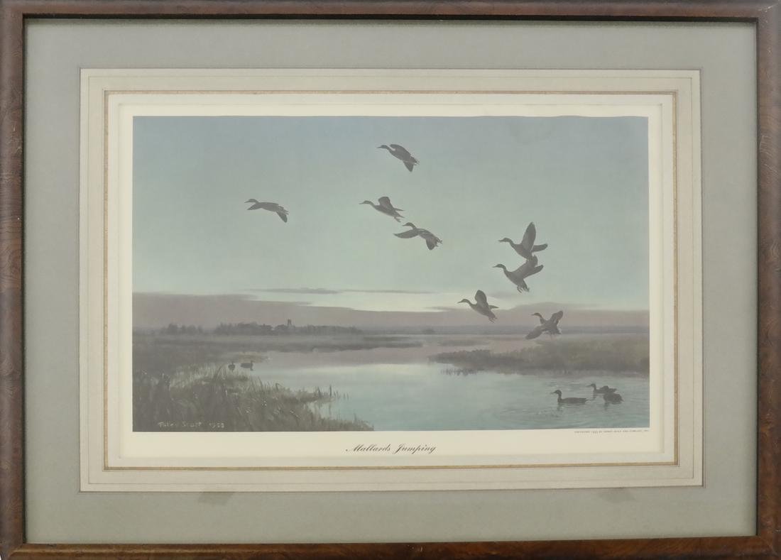 Peter Scott - Seven Duck Prints (1 of 5)