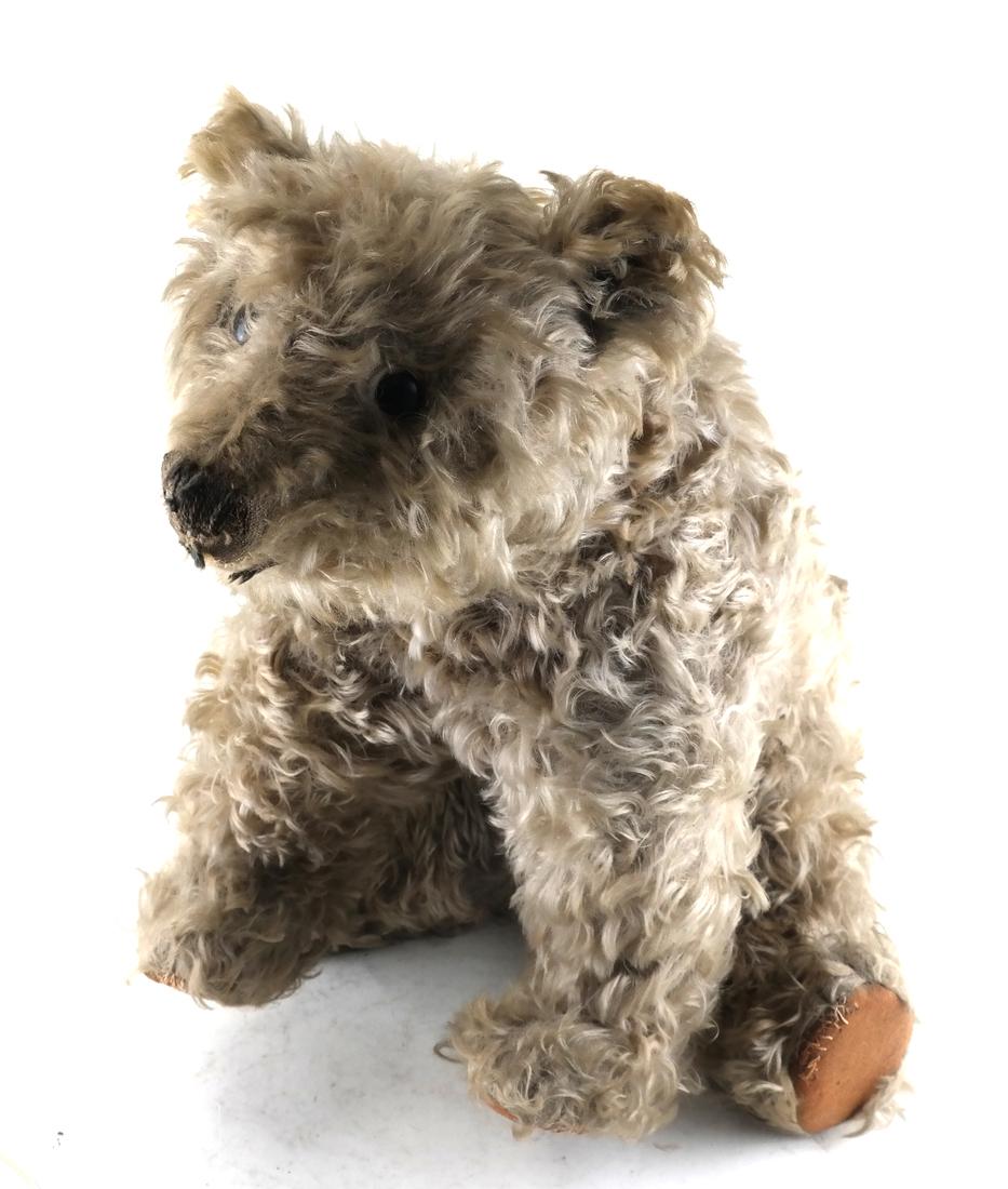 Early Mohair Steiff Teddy Bear (1 of 7)