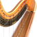 Lyon & Healy Harp, No. 148, Style H - 4