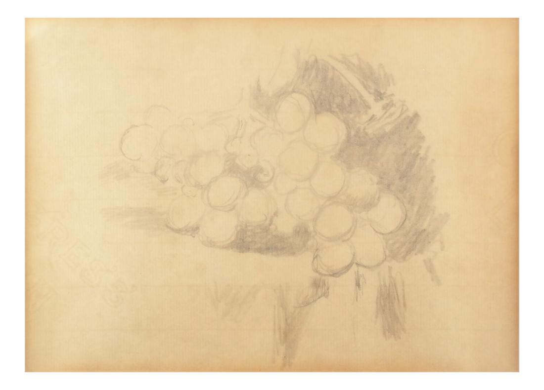 Robert L. Newman, Grapes - Graphite (1 of 5)
