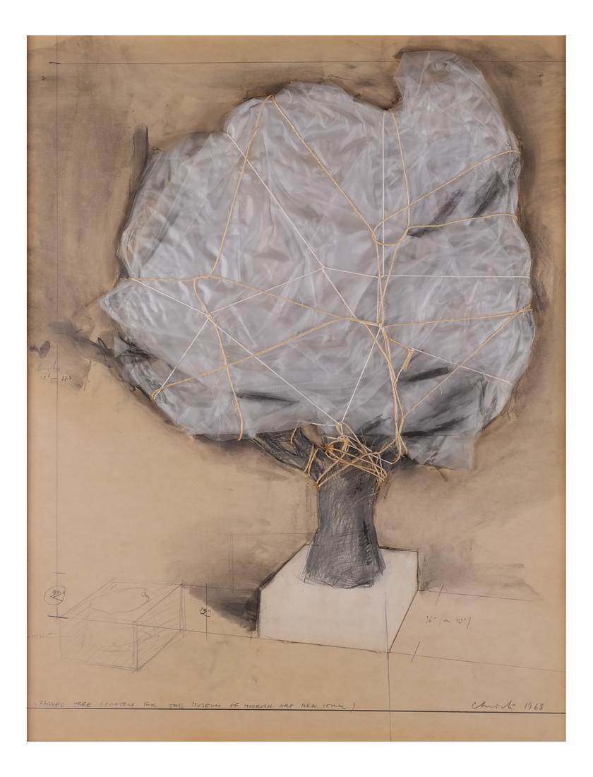 Christo, Wrapped Tree (1 of 10)