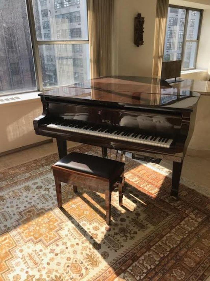 Player Piano by Petrof, w/ Bench (1 of 1)