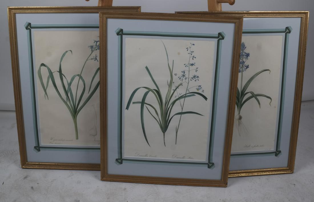 Three Botanical Prints (1 of 6)