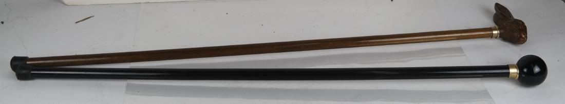Two Canes/Walking Sticks (1 of 4)