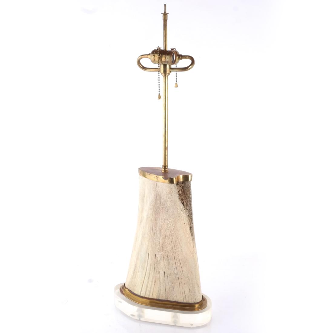 Lucite Faux Horn Lamp "Marmal" (1 of 4)