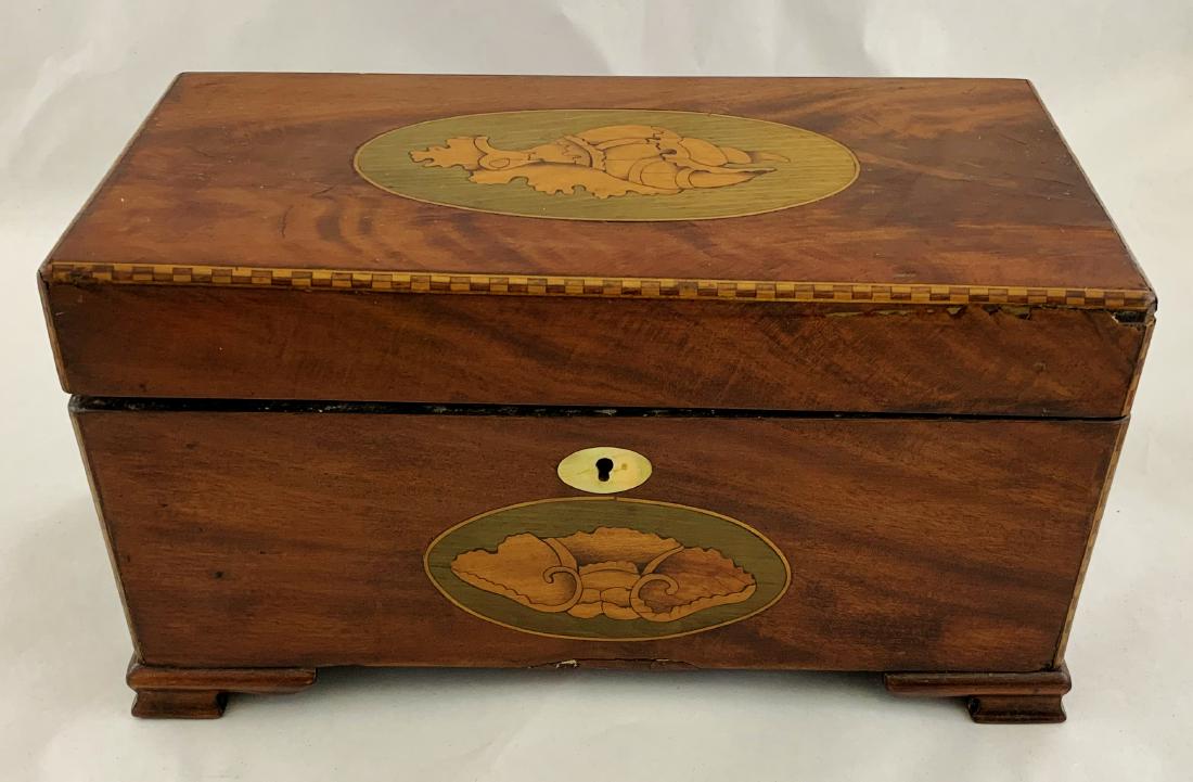 19th C. English Conch Shell Inlaid Tea Caddy (1 of 10)