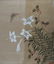4 Chinese Paintings on Silk - Birds, Flowers - 5
