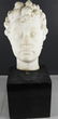 Antique Italian Marble Bust - 12