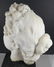Antique Italian Marble Bust - 3