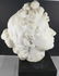 Antique Italian Marble Bust - 6