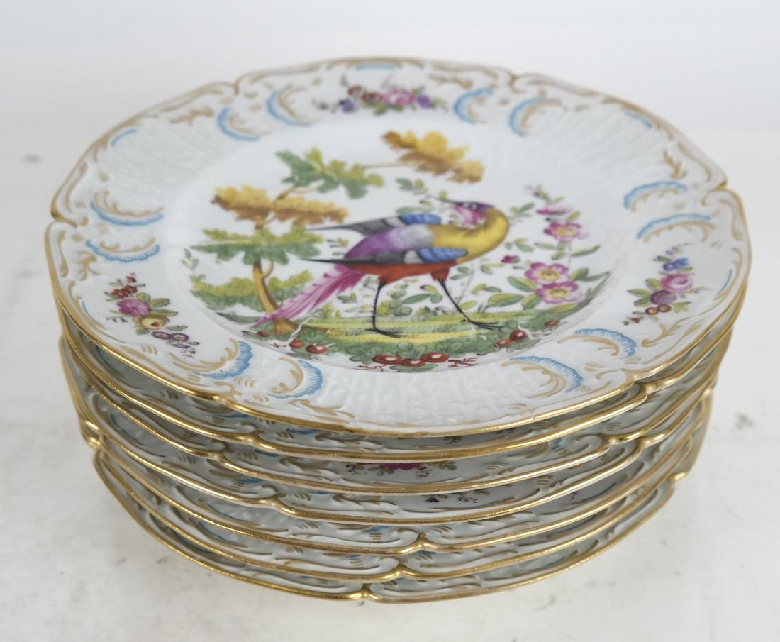 8 Chelsea Porcelain Bird Plates (1 of 4)