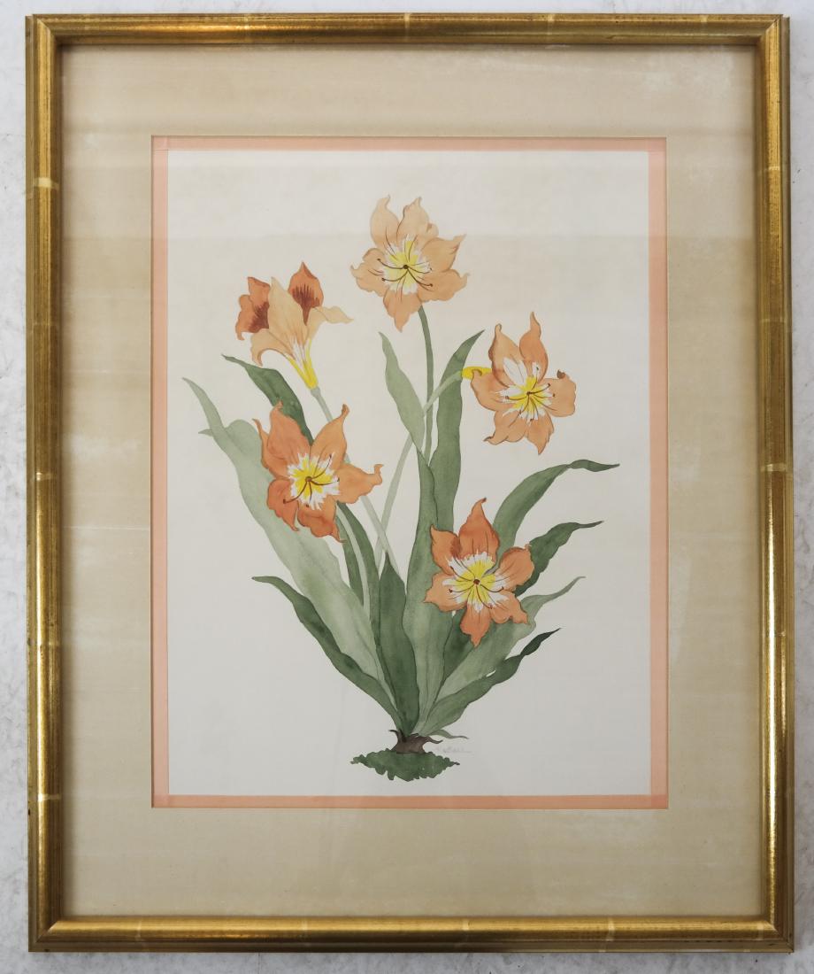 T. HAWTHORN: Still Life - Watercolor (1 of 4)