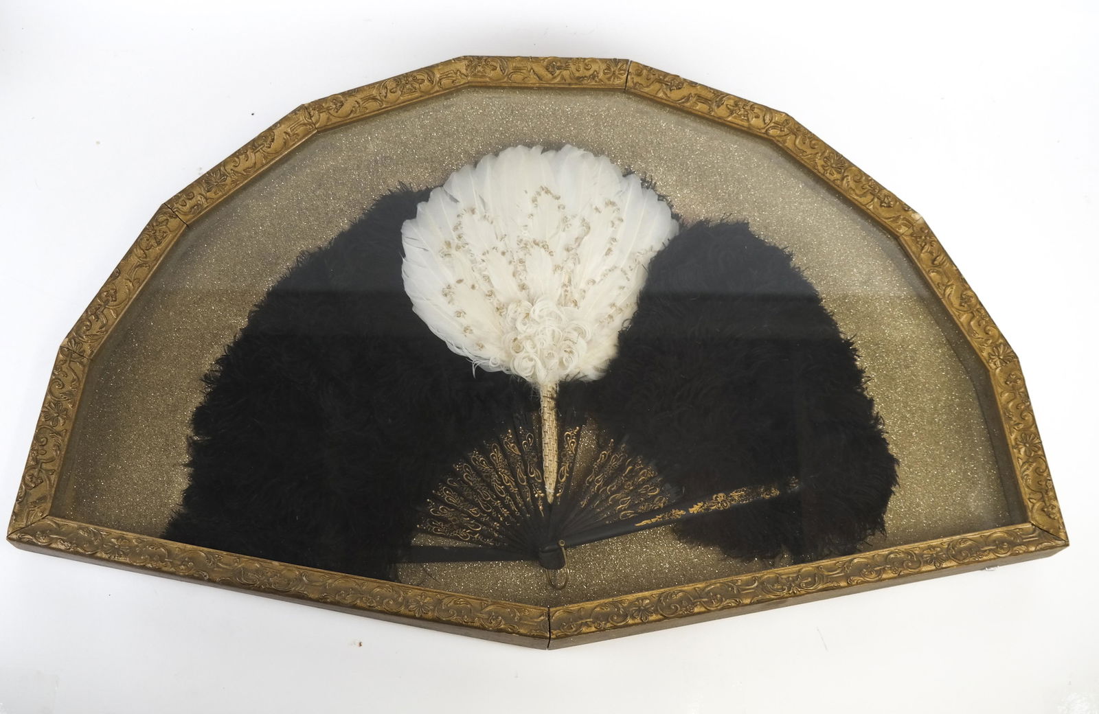 Framed Ostrich Feather Fan (1 of 4)